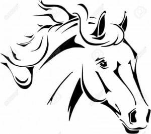Horse image (Copy)