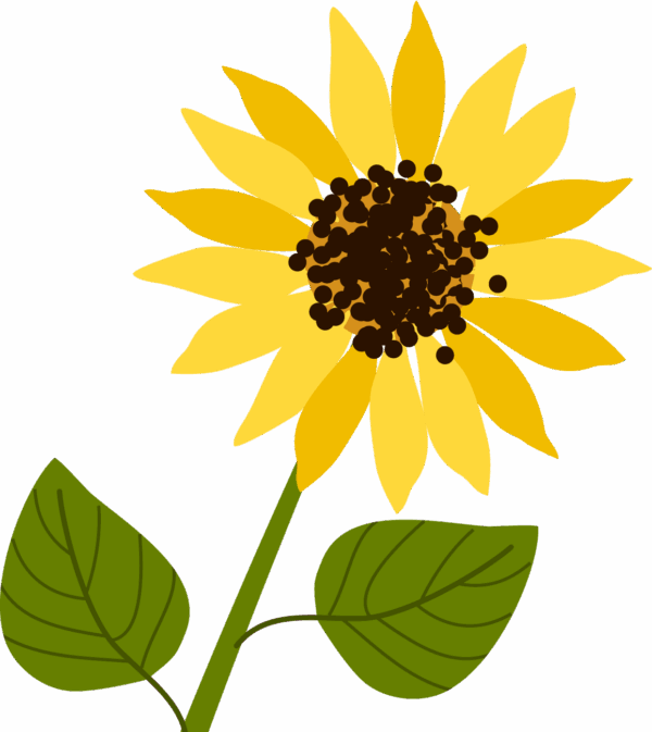 Sunflower Donation